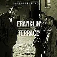 Picture for song 'Franklin Terrace' by artist 'Parabellum Beats'