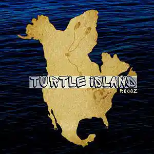 Picture for song 'Turtle Island - Classic Boom Bap Guitar Beat 2021' by artist 'Rojoz'
