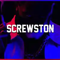 Picture for song 'SCREWSTON' by artist 'SLYRAX'