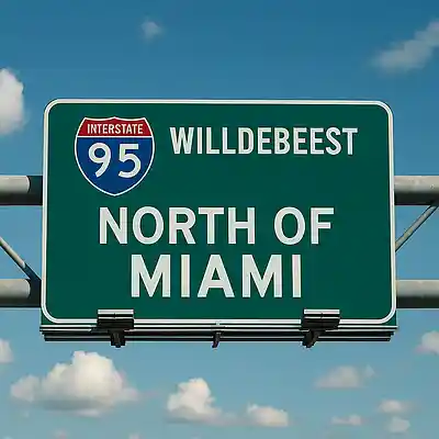 Picture for song 'North of Miami' by artist 'Willdebeest'