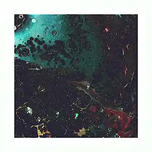 Song picture