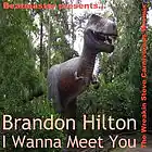 Picture for song 'Brandon Hilton - I Wanna Meet You WS Carnivorous W' by artist 'DJ Beatmaster'