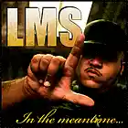Picture for song 'Stand Tall (REMIX!!!) prod. by Hazardis' by artist 'I AM LMS'
