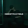 Picture for song 'Indestructible' by artist 'Mirasonic Beats'