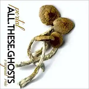 Picture for song 'ALL THESE GHOSTS (Original Mix)' by artist 'P0RTAL'