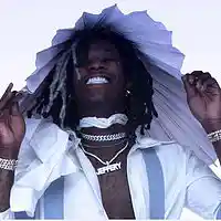 Picture for song '*SWANG* Gold Digger (Free DL)' by artist 'Paperfall Bros'