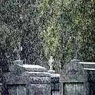 Picture for song 'Haunting Remains' by artist 'Poet Of Pain'