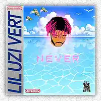 Picture for song 'Never' by artist 'The King Beats'