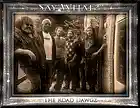 Picture for song 'Double Timing Woman' by artist 'The Road Dawgz'