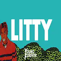 Picture for song 'Litty (Prod. By Young Forever Beats)' by artist 'Young Forever Beats'