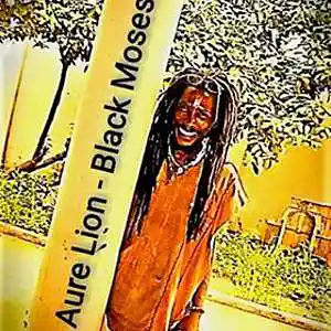 Picture for song 'Aure Lion - Black Moses' by artist 'Aure Lion'