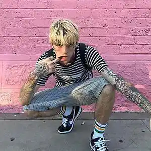 Picture for song '[FREE] Lil Peep Type Beat "Cupid" Guitar Beat' by artist 'Cort Beats'
