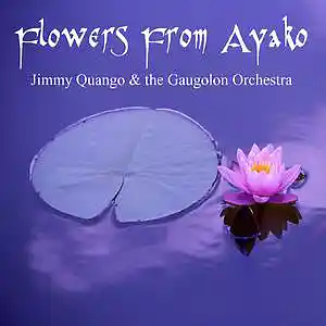 Picture for song 'Flowers From Ayako (Irish Blues Version) by Jimmy ' by artist 'Jimmy Quango Fingerstyle Guitar'