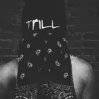 Picture for song 'Forever Trill (@kdbeats6ix13)' by artist 'KD Beats 6ix13'