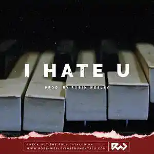 Picture for song 'I Hate U' by artist 'Robin Wesley'