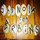 Picture for song '2000 Man On Strike (Inspired by Rolling Stones)' by artist 'Shinola For Brains'