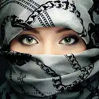 Picture for song 'arabic' by artist 'Southern Royalty BEAT POOL'