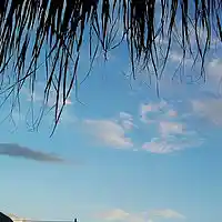 Picture for song 'Sea to sky...' by artist 'stefanos grigoriadis'