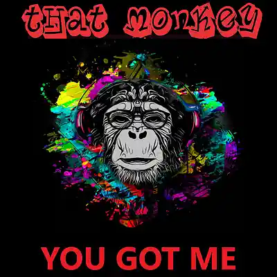 Picture for song 'You Got Me' by artist 'That Monkey'