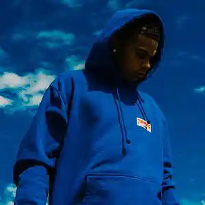 Picture for song 'Mostly (D Savage x Lucki type beat)' by artist 'Vinci Bone Beats'