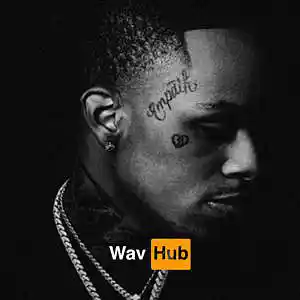 Picture for song 'Emotions (Rod Wave x Toosii)' by artist 'Wav Hub'