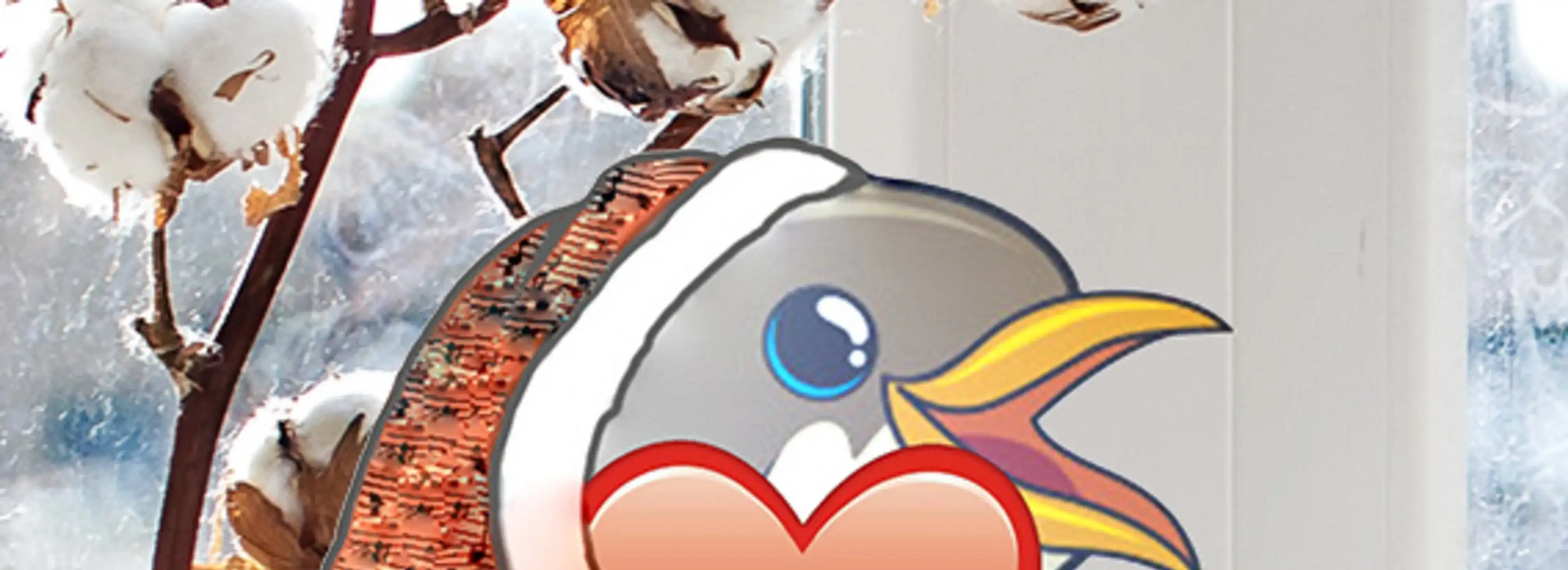 cover pic