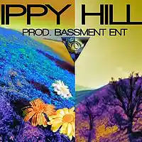 Picture for song 'Hippy Hills (Prod. Bassment Ent) ' by artist 'Bassment ENT'