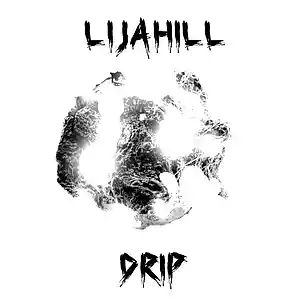 Picture for song 'Drip ( Murda Beatz Type Beat )' by artist 'lijahill'