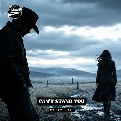 Picture for song 'CANT STAND YOU [MORGAN WALLEN TYPE BEAT]' by artist 'Malley Beats'