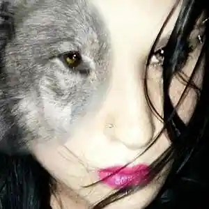 Picture for song 'Spiritual Journey/Power of Love' by artist 'Universal Momma Bear'