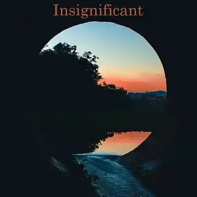 Picture for song 'Insignificant' by artist 'Sean Ferree'