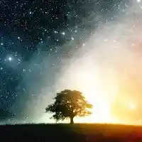 Picture for song 'SUCH IS LIFE' by artist 'THE DESTINOTICS'