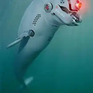 Picture for song 'Escape From Planet Dolphin' by artist 'THE SOUL BEATAZ'