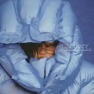 Picture for song 'Breezy' by artist 'Ezhdee'