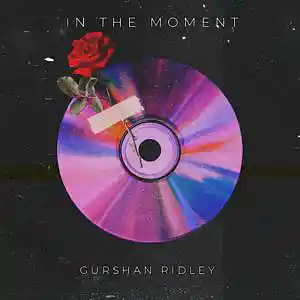 Picture for song 'In the moment' by artist 'Gurshan Ridley'