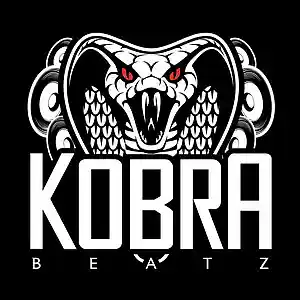 Picture for song 'The One (Free DL)' by artist 'Kobra Beatz'