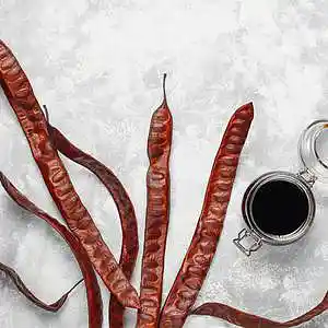 Picture for song 'provenienta pentru ce' by artist 'laelaps'