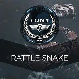 Picture for song 'Rattle Snake' by artist 'Tuny Beats'