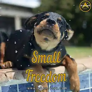 Picture for song 'Small Freedom' by artist 'Alienoisez Beats'
