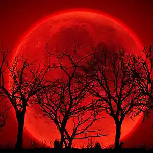 Picture for song '''RED MOON'' TRIPPE REDD X JUICE WRLD TYPE BEAT' by artist 'Colion Made The Beat'