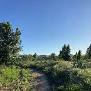 Picture for song '7.2%' by artist 'Gagmesharkoff'