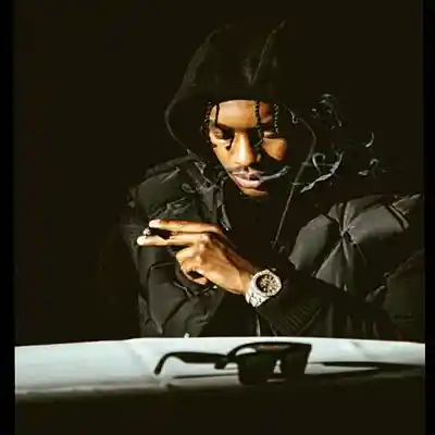 Picture for song 'Lil Durk x Lil Tjay x Polo G Type Beat - Chop The' by artist 'Hashtag6eatZ033'