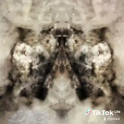 Picture for song 'LANDR-WE ON THE RISE-Open-Low 750' by artist 'JCITK'