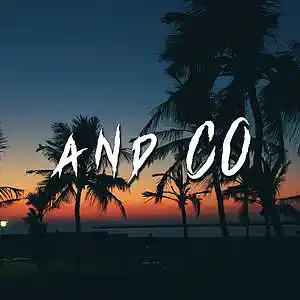 Picture for song 'And co (Freestyle type beat)' by artist 'RVSN beats'