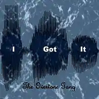 Picture for song 'I Got It' by artist 'The Overtone Gang'