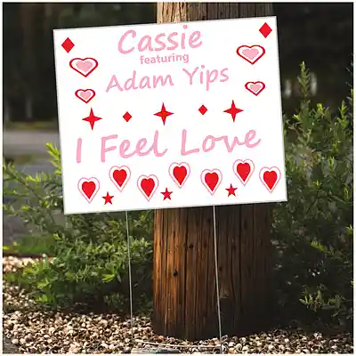 Picture for song 'I Feel Love feat Adam Yips' by artist 'Cassie'