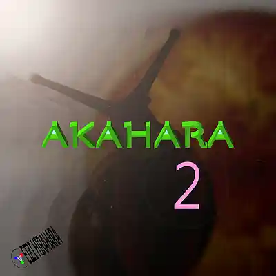 Picture for song 'AKAHARA 2' by artist 'Eizi Hirahara'