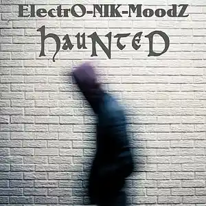 Picture for song 'Haunted' by artist 'ElectrO-NIK-MoodZ'