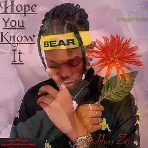 Picture for song 'Hope You Know It' by artist 'Hueg Zee'