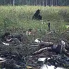 Picture for song 'Auto Pilot' by artist 'Jimi Sweeney'